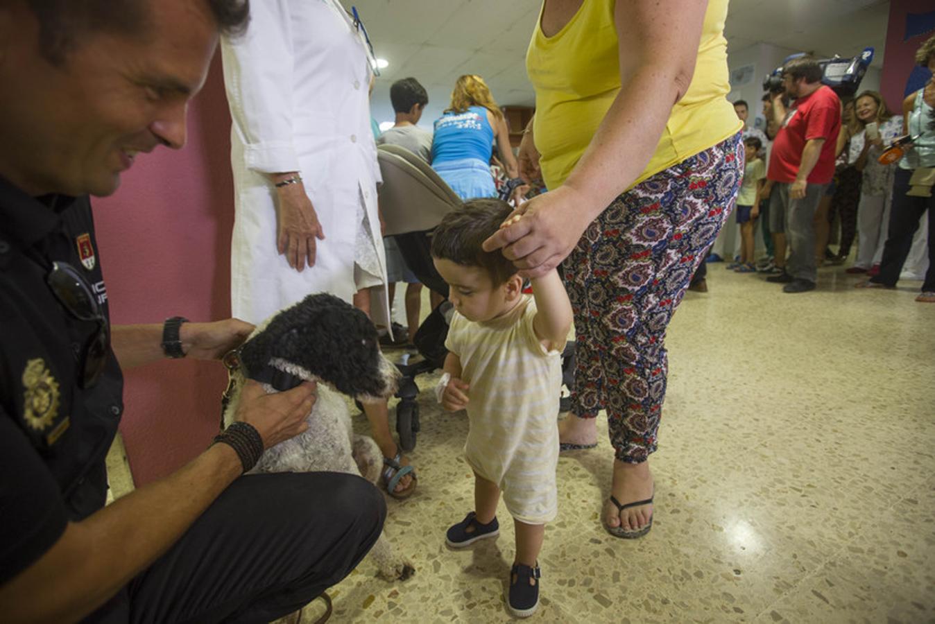 Los guías caninos de la Policía Nacional visitan a los niños del Hospital Puerta del Mar