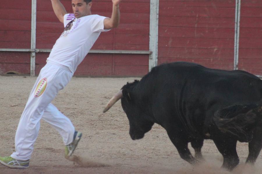 El espectáculo de los recortadores, en imágenes