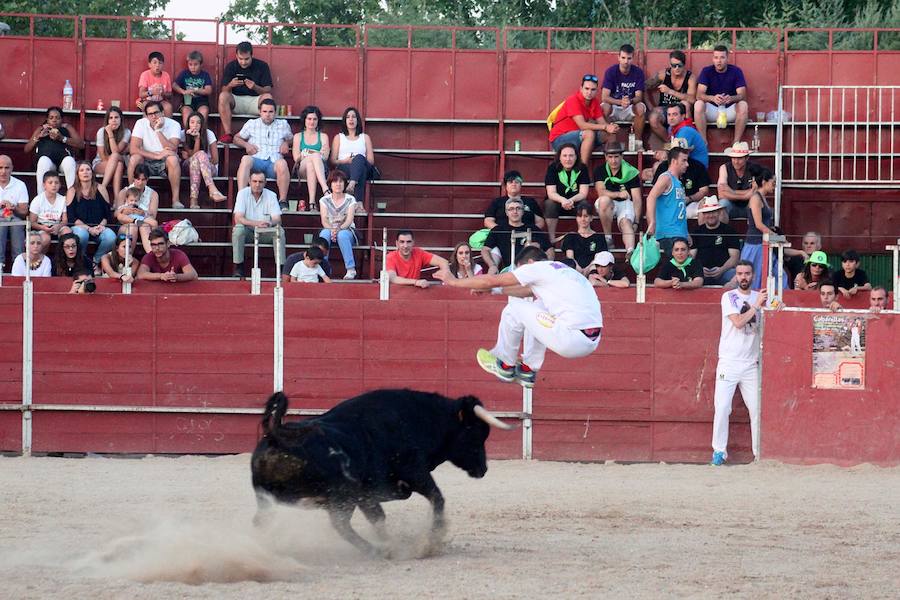 El espectáculo de los recortadores, en imágenes