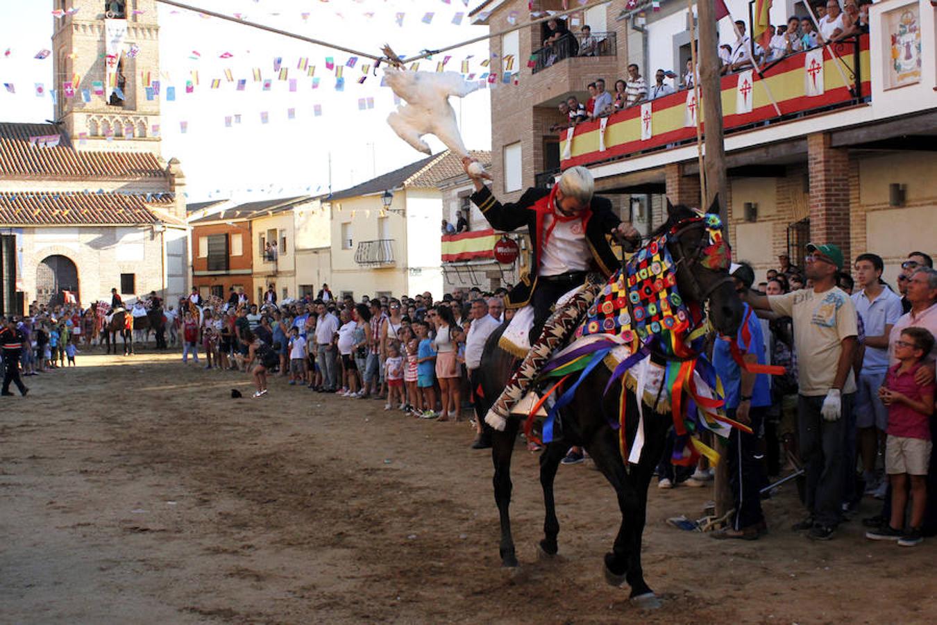 La carrera de gansos de Carpio de Tajo