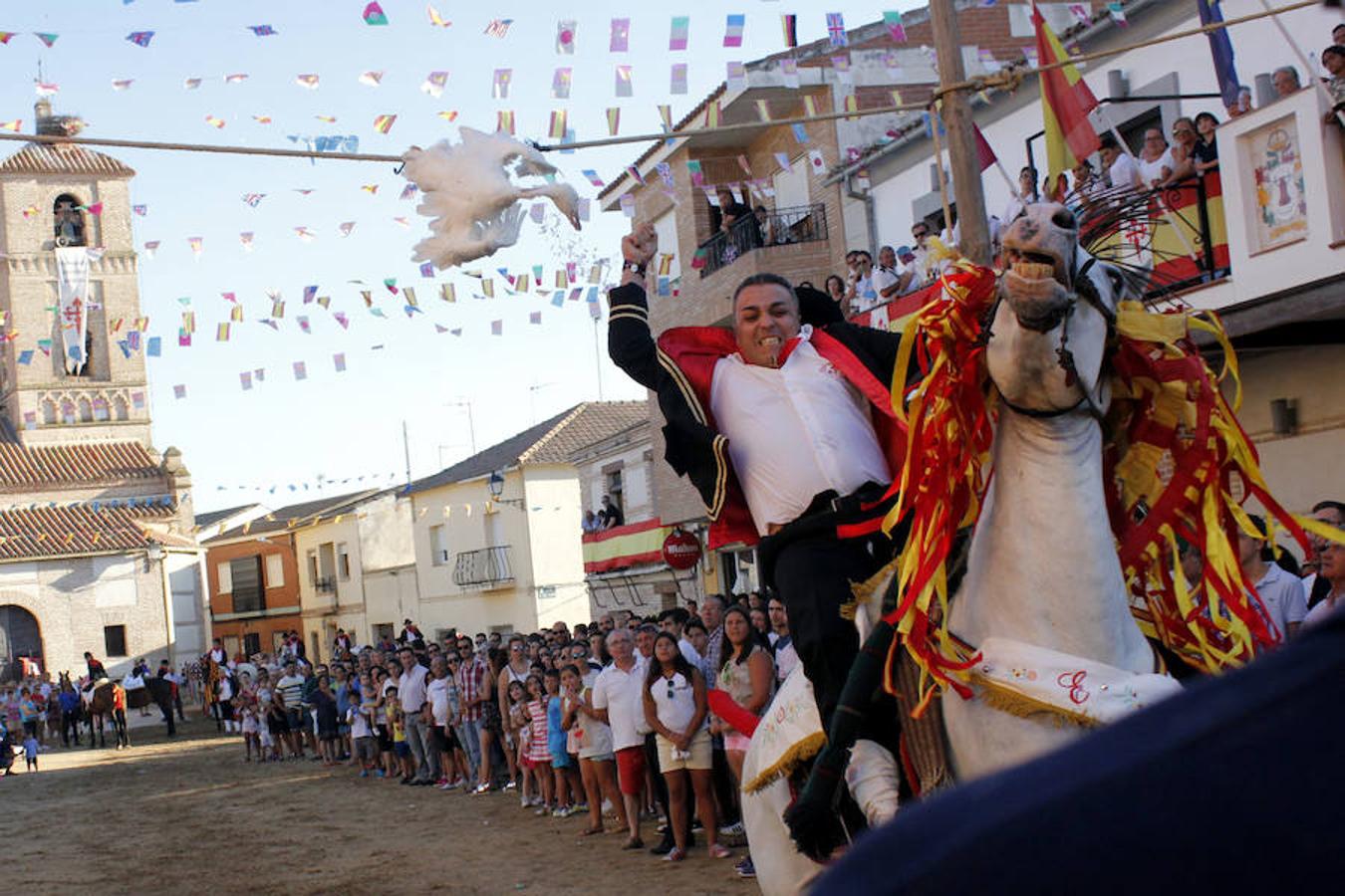 La carrera de gansos de Carpio de Tajo