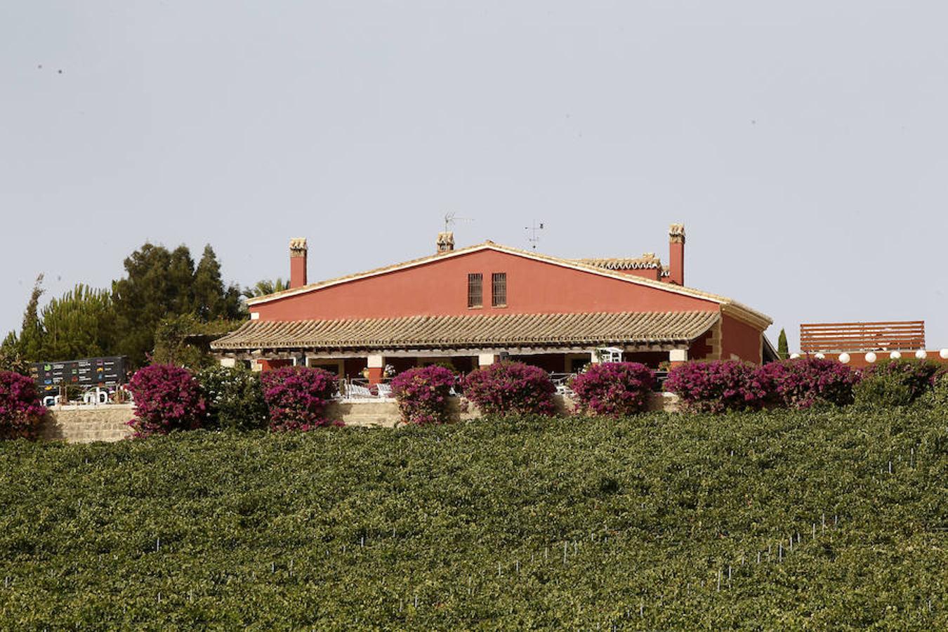 El convite se celebró en la finca de las Bodegas Luis Pérez. J. M. SERRANO