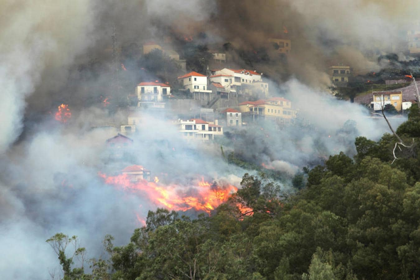 Imágenes de los terribles incendios que están destruyendo la portuguesa isla de Madeira