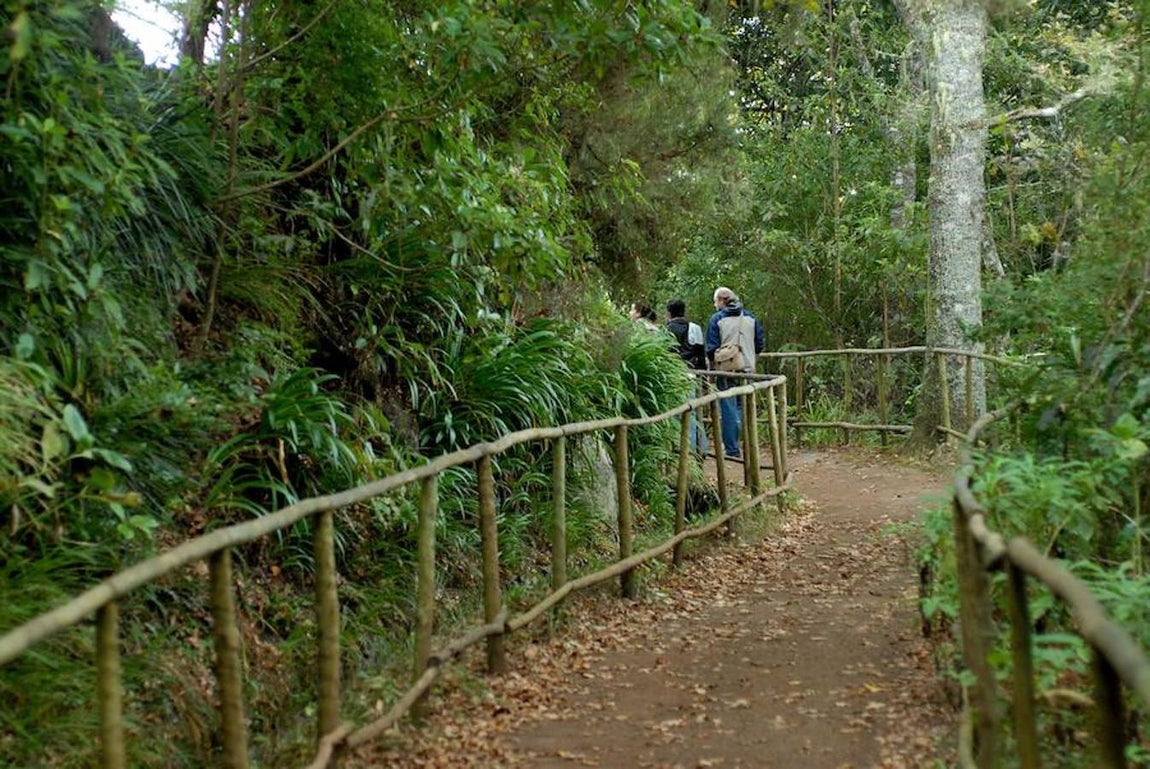 Ruta de senderismo en Madeira. 