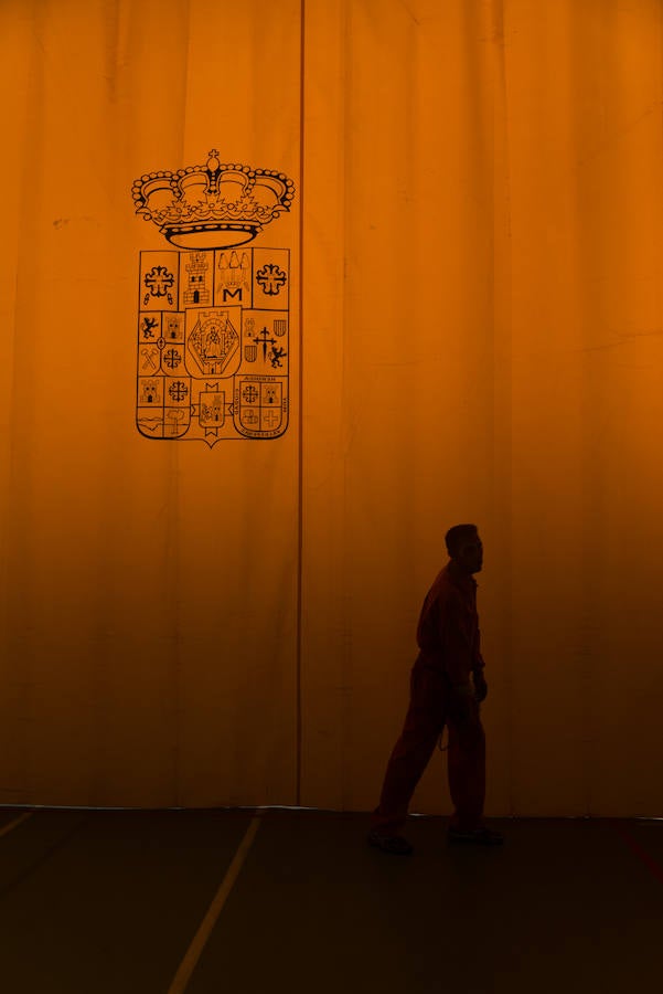 La invasión zombie, en imágenes