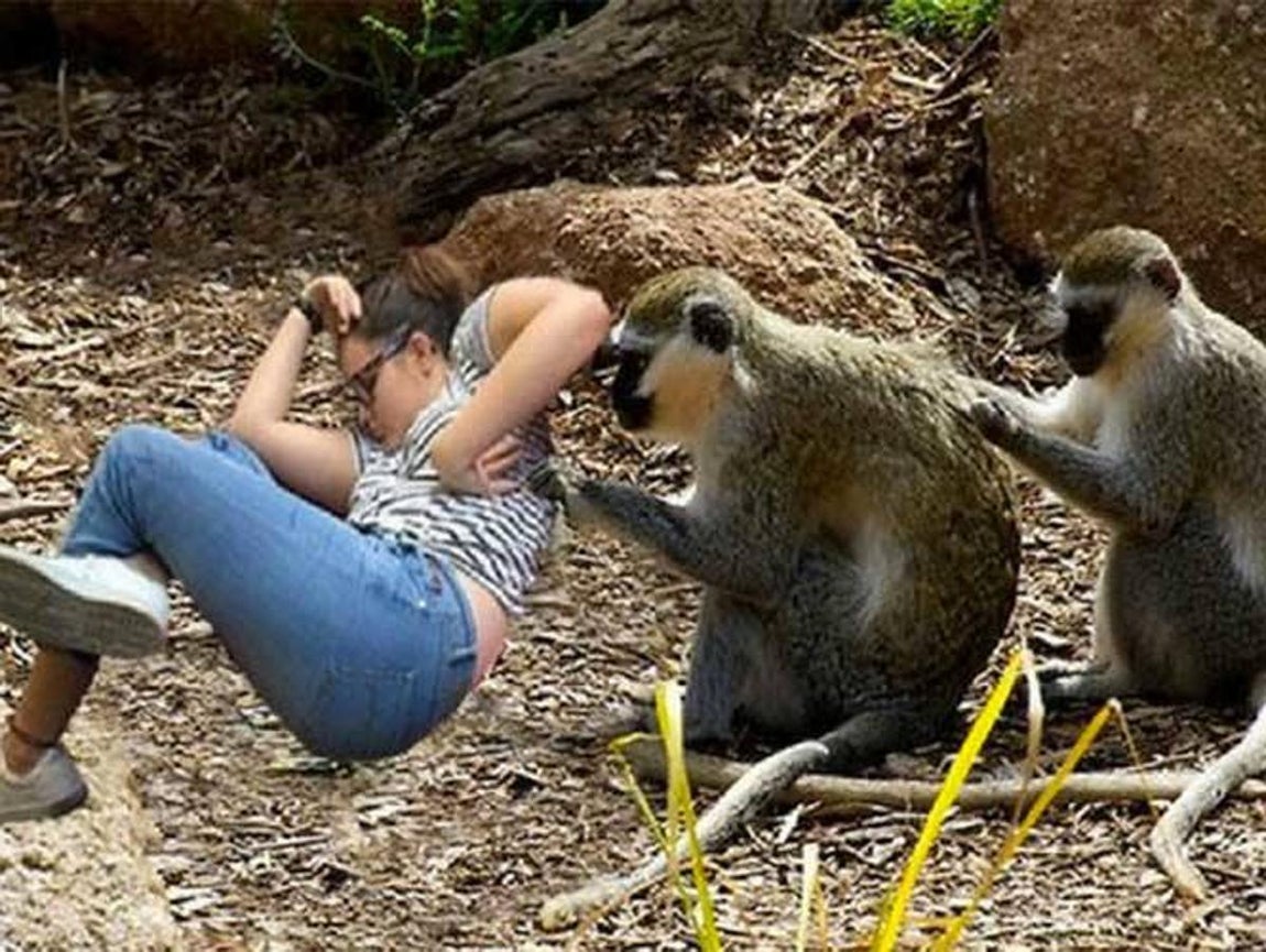 De paseo con unos simpáticos monos.. 