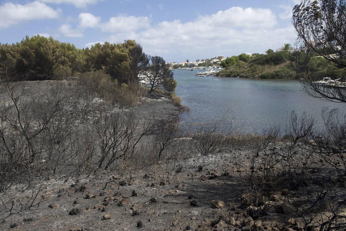 El Instituto Balear de la Naturaleza (Ibanat) ha dado por estabilizado el incendio declarado esta madrugada al norte de Menorca, en cuya extinción trabajan aún bomberos, brigadas forestales y medios aéreos para evitar que las llamas se reaviven con el fuerte viento que sopla en la zona. 