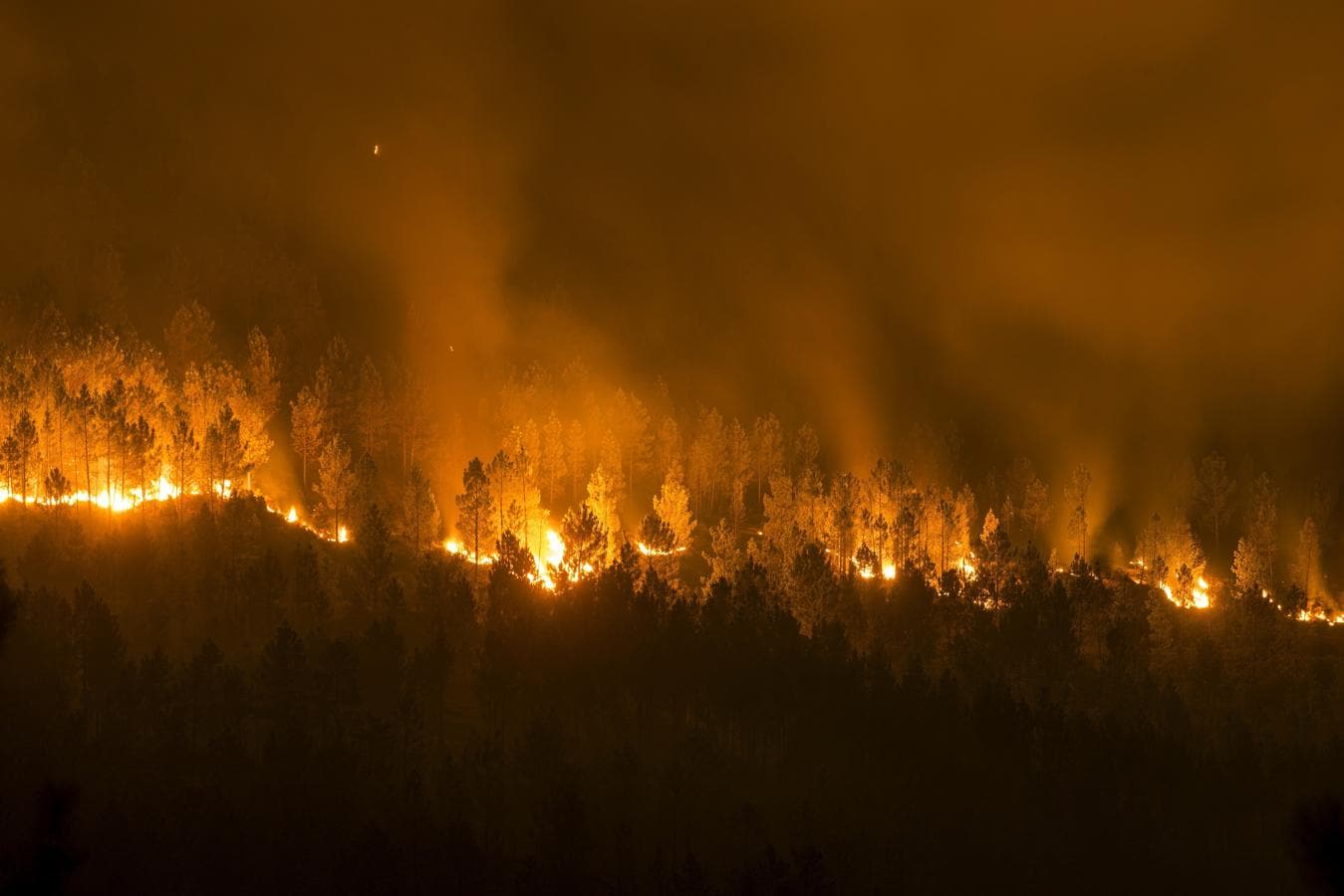 Vista del incendio forestal declarado en la localidad orensana de Entrimo, uno de los muchos incendios forestales sin control que han cercado casas, provocado desalojos y afectado a zonas de alto valor ecológico. 