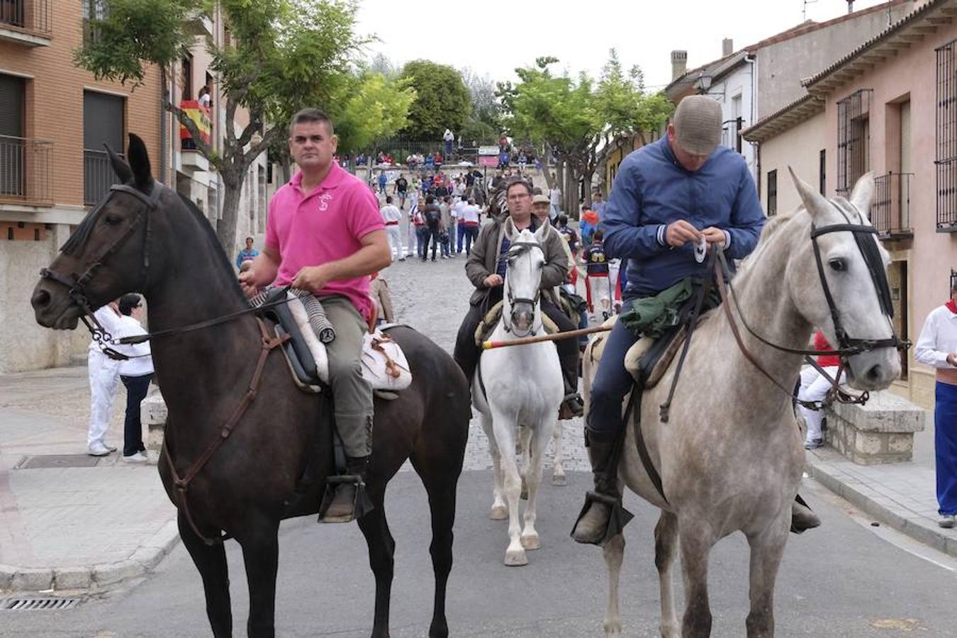 Del Toro de la Vega al Toro de la Peña. El astado, como manda la tradición y tras el disparo de cohetes, será soltado desde un cajón situado junto a la Plaza Mayor e iniciará entonces un encierro que le conducirá hasta La Vega, con la particularidad de que por primera vez no podrá ser abatido en este último escenario por lanceros a caballo y a pie en pugna por darle muerte antes de que abandone los límites del pinar.