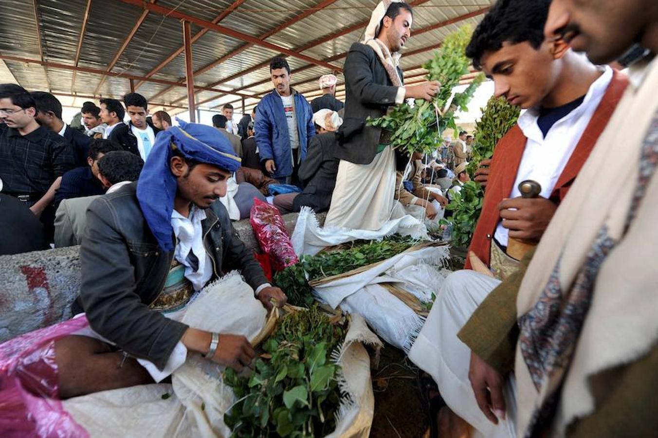 Los mercados. El mercado de Souq Al-Milh cuenta con más de 40 zocos, cada uno de ellos especializado en un producto. En la imagen, el de qat, una dañina hierba consumida en amplias zonas de Yemen y Somalia.