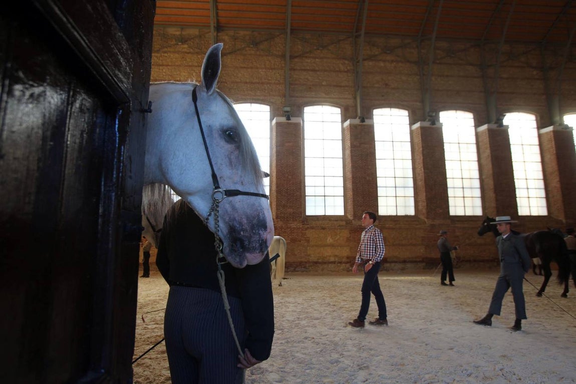 El arranque de Cabalcor, en imágenes