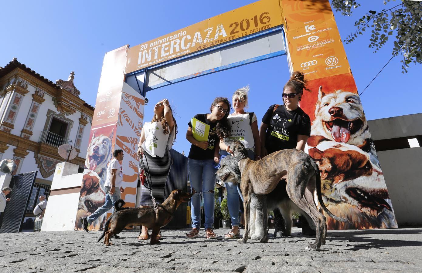 La inauguración de Intercaza, en imágenes