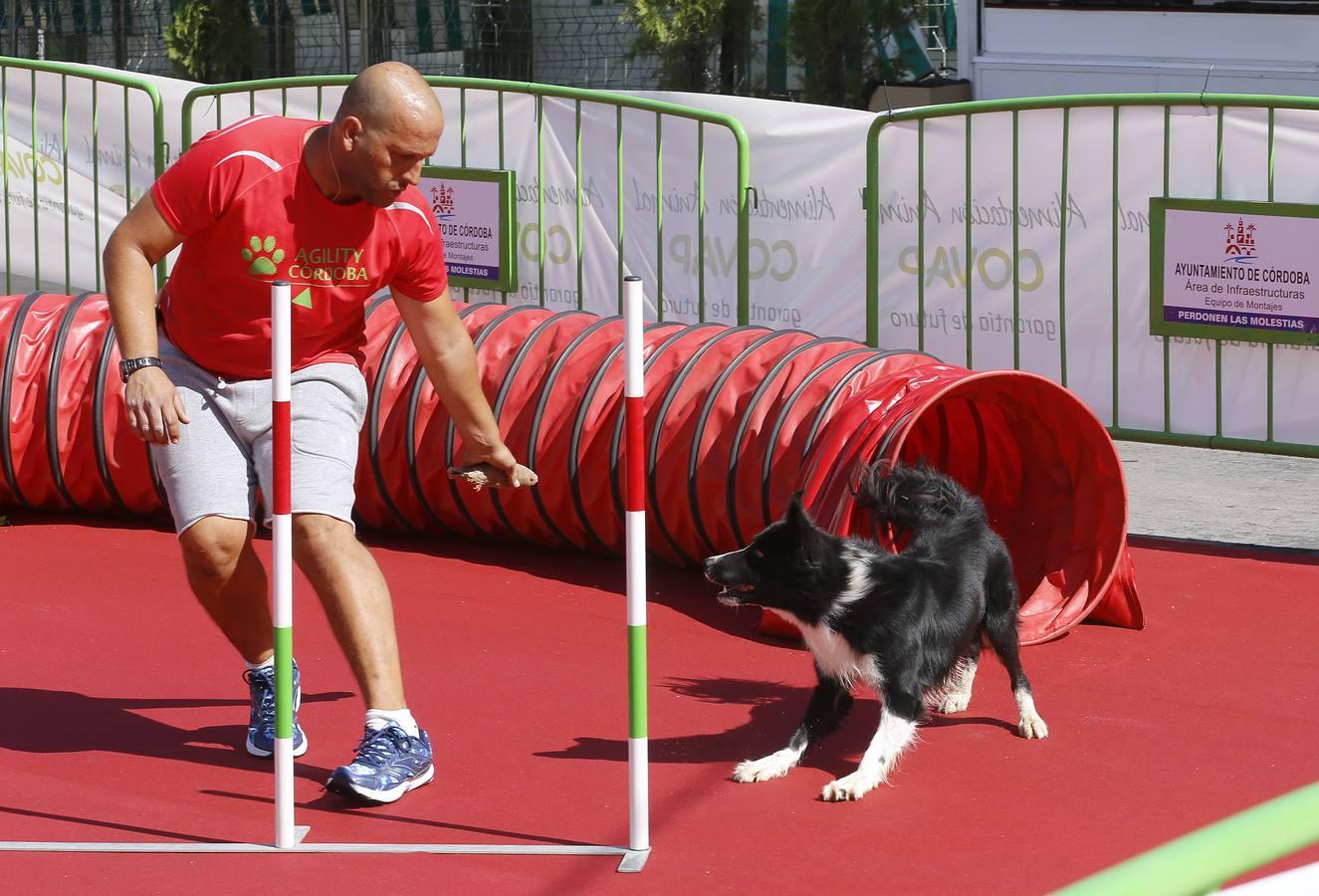 La inauguración de Intercaza, en imágenes