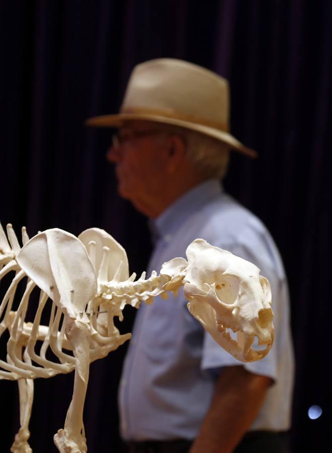 La inauguración de Intercaza, en imágenes