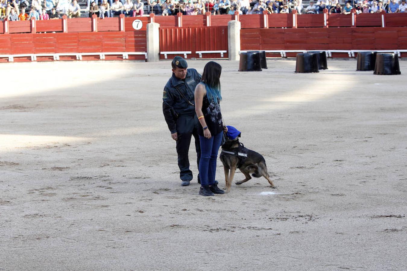 Exhibición de la Guardia Civil en la plaza de toros