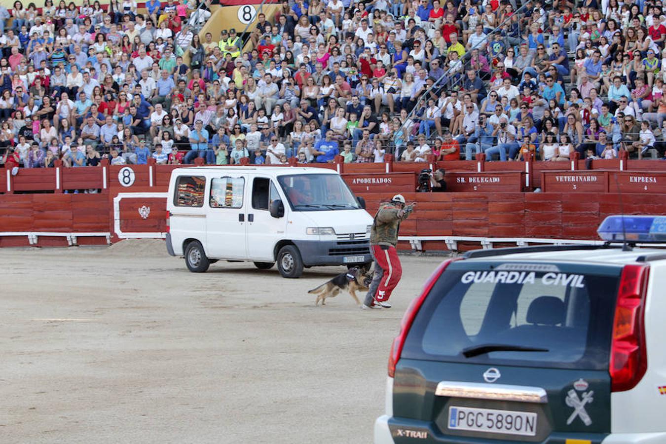 Exhibición de la Guardia Civil en la plaza de toros