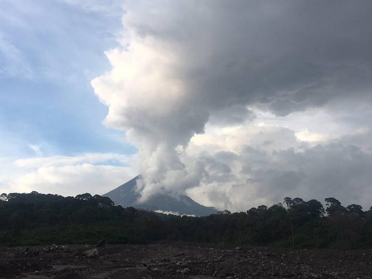 La zona boscosa aledaña al volcán de Colima, ubicado en el oeste de México, que incrementó su actividad, por lo que las autoridades del estado de Colima informan que las comunidades de La Yerbabuena y La Becerrera continuarán evacuadas. 