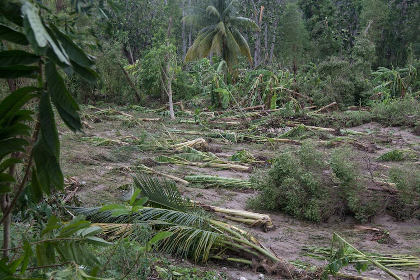 Muchas comunidades han quedado incomunicadas, principalmente en el suroeste de la nación caribeña, tras el paso del huracán. 