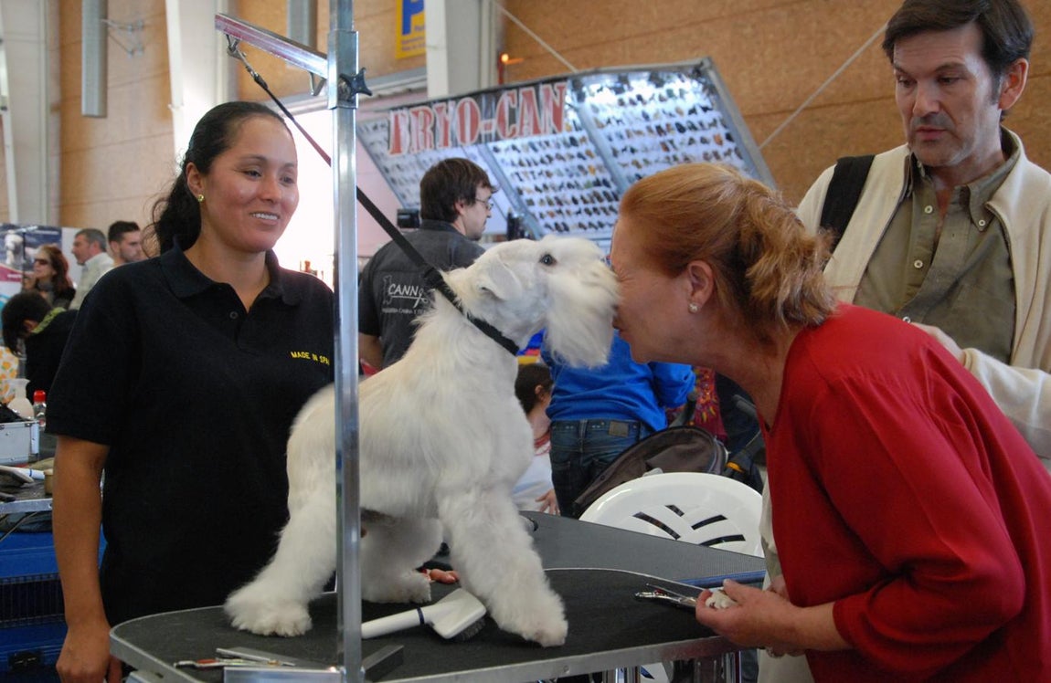 Más de 3.500 perros en la Exposición Internacional Canina de Otoño de Talavera