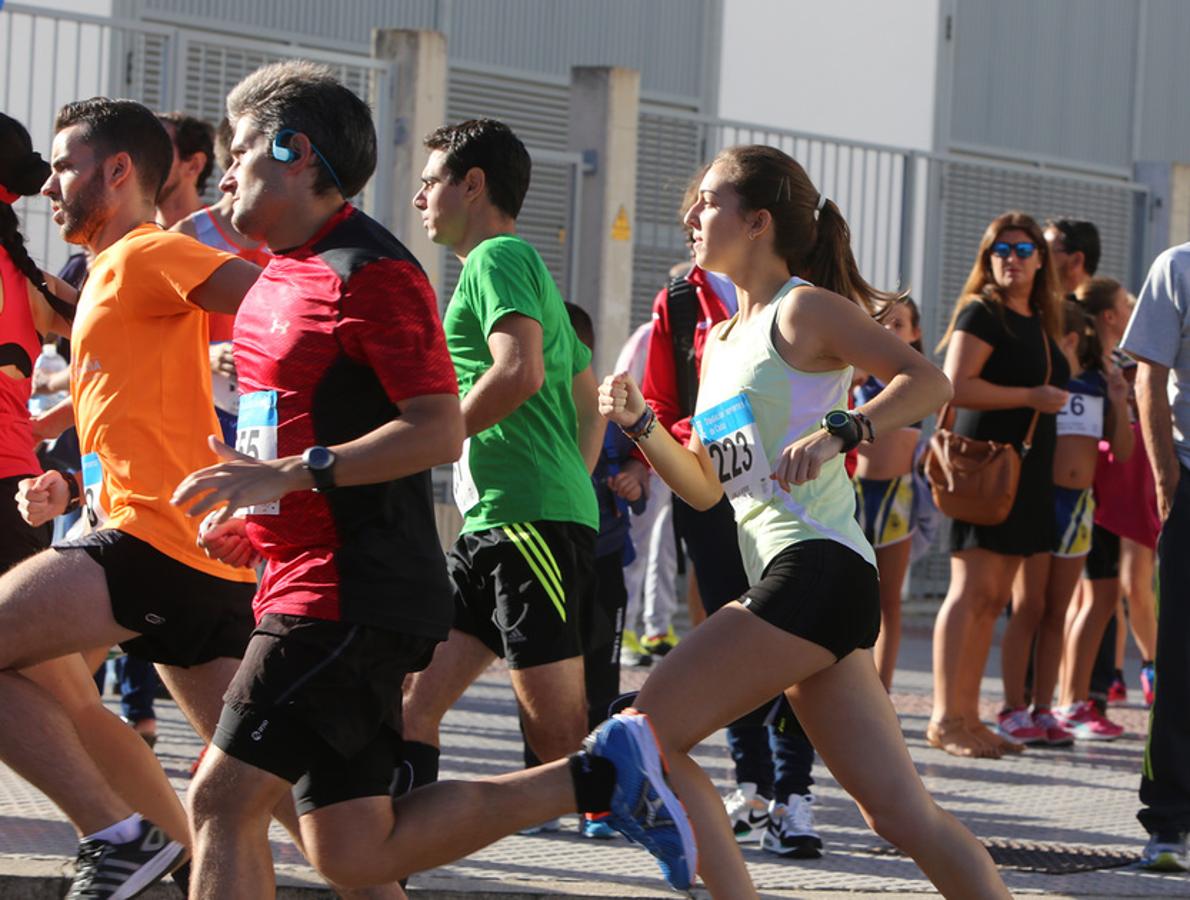 Búscate en la Milla Verde Ciudad de Cádiz 2016 (I)