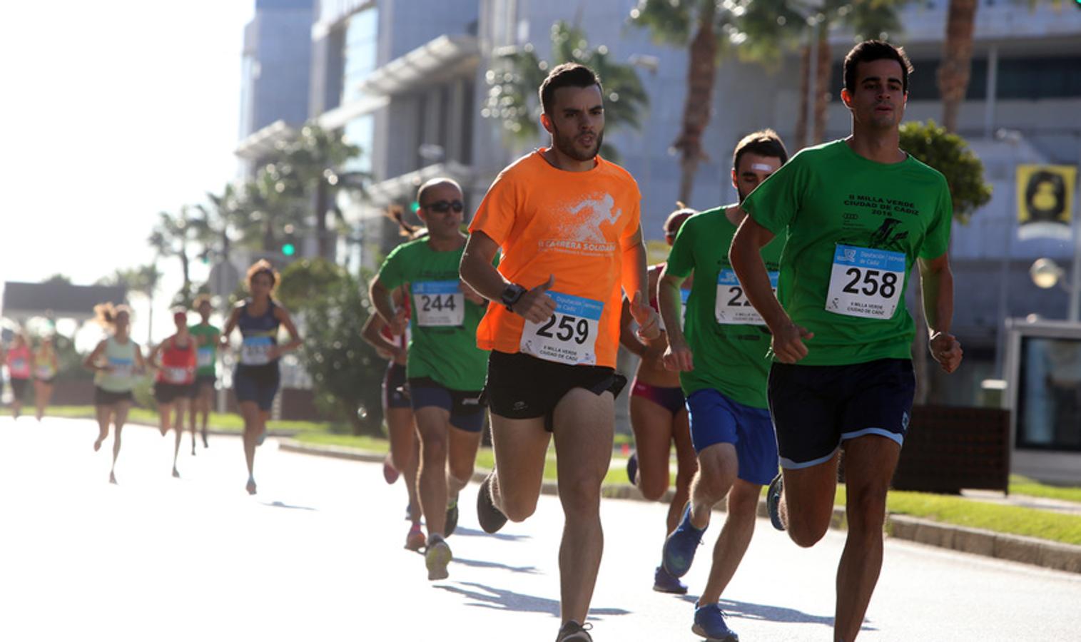 Búscate en la Milla Verde Ciudad de Cádiz 2016 (I)