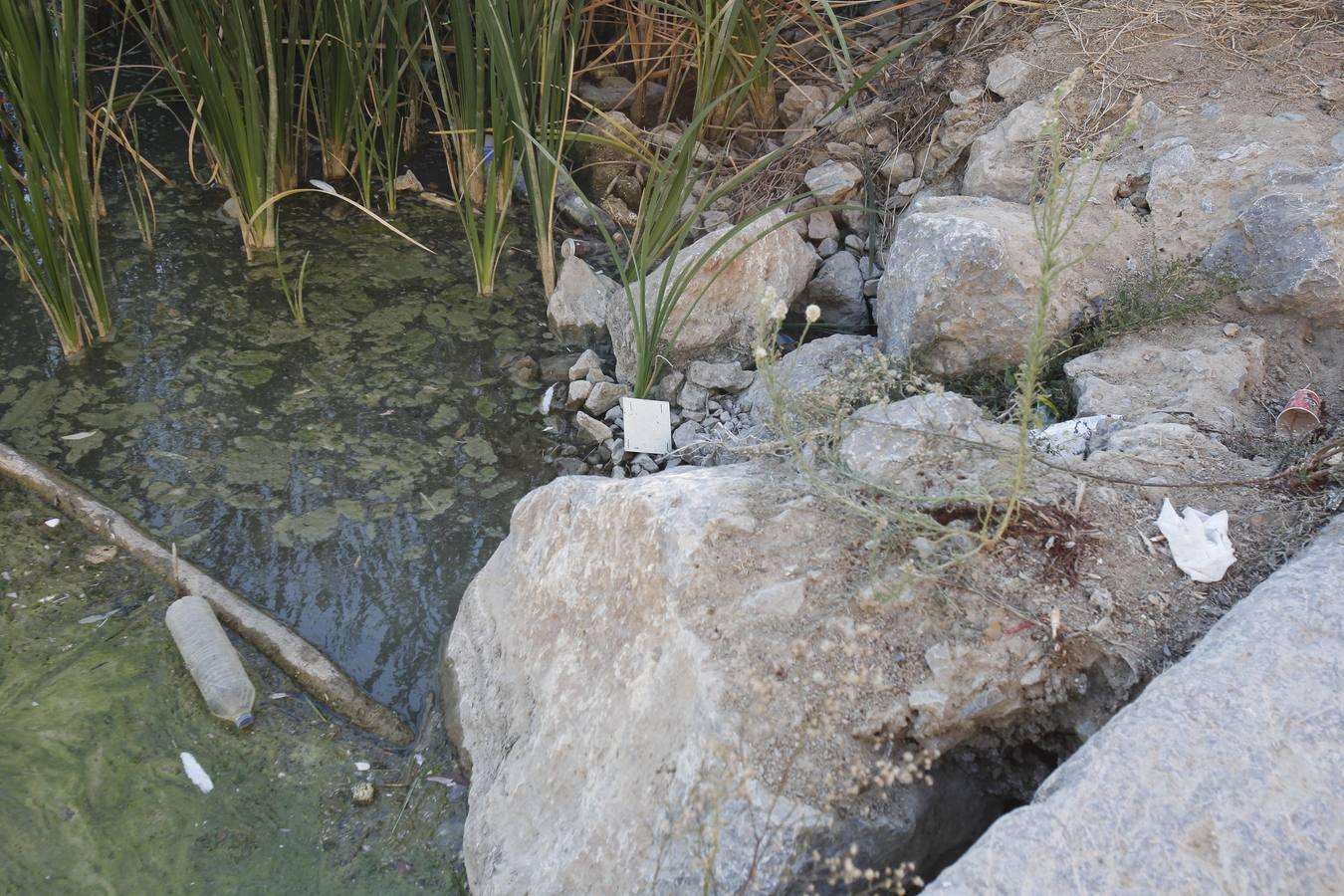 La peor cara del río Guadalquivir en Córdoba