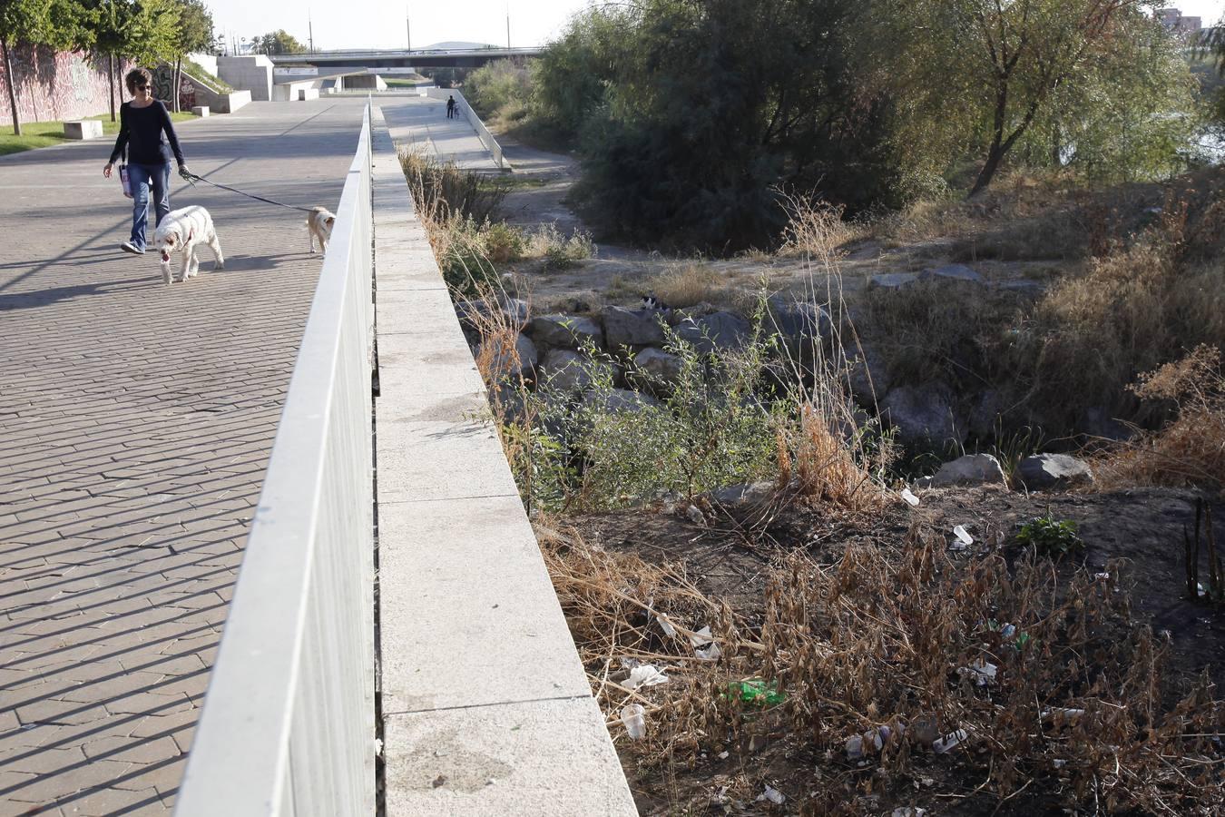 La peor cara del río Guadalquivir en Córdoba