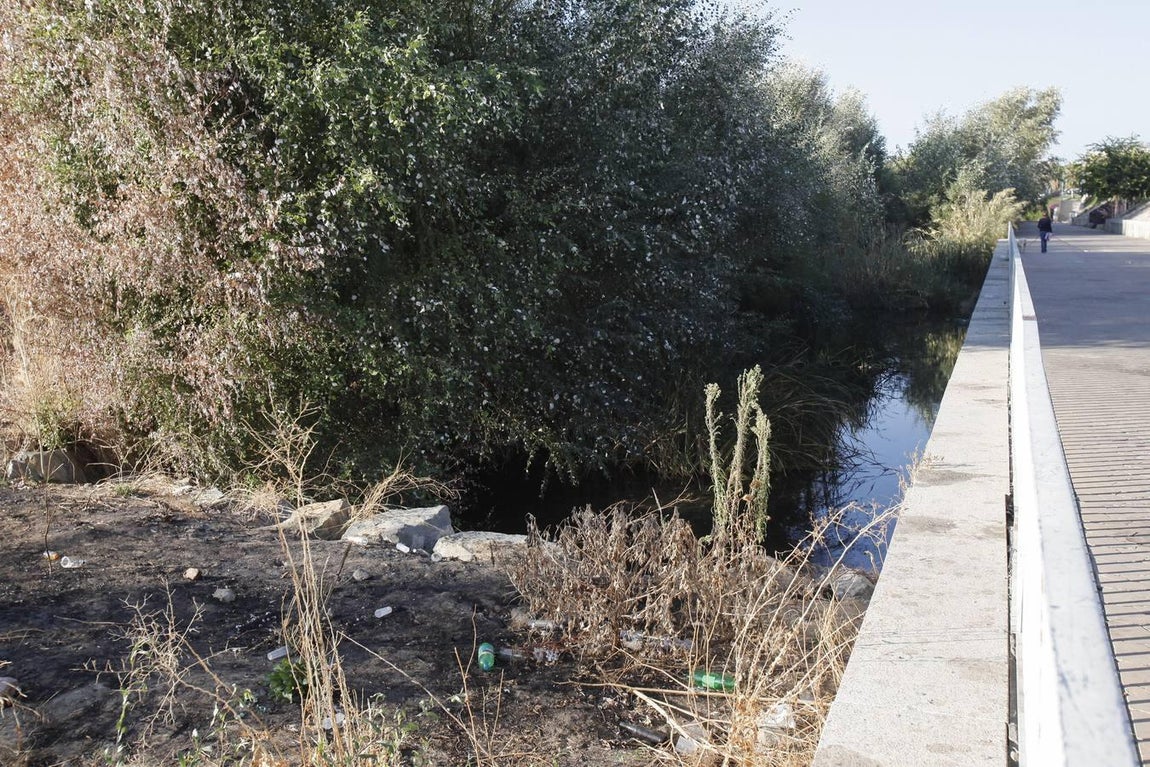 La peor cara del río Guadalquivir en Córdoba