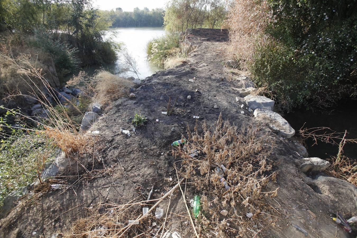 La peor cara del río Guadalquivir en Córdoba