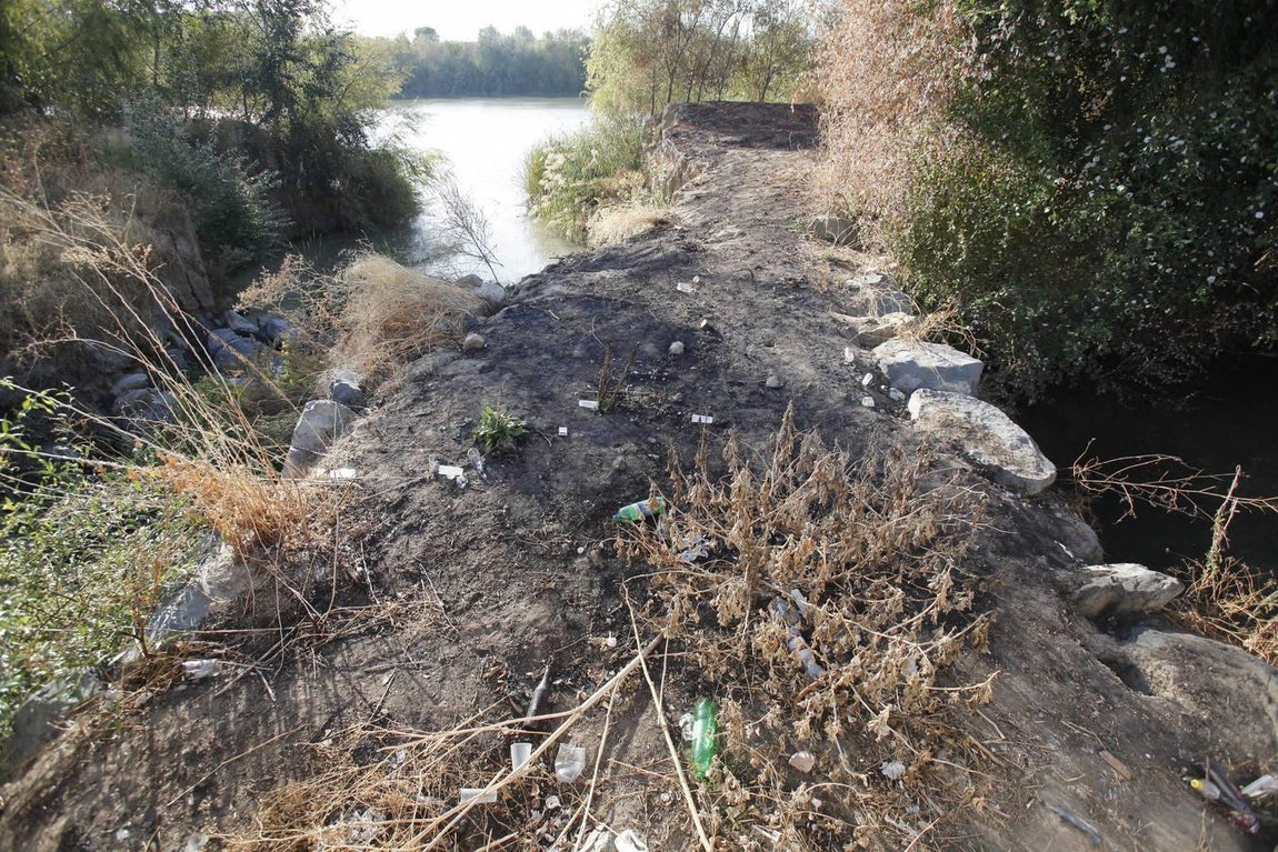 La peor cara del río Guadalquivir en Córdoba