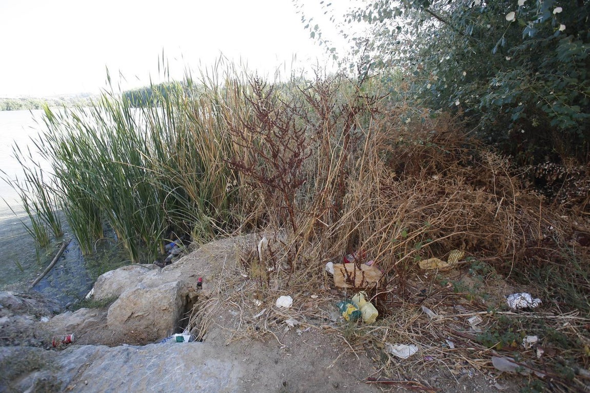 La peor cara del río Guadalquivir en Córdoba