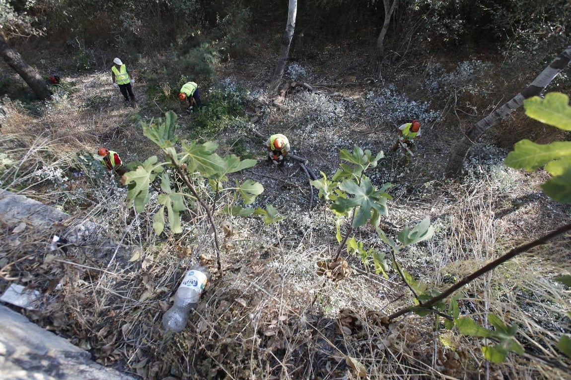 La peor cara del río Guadalquivir en Córdoba