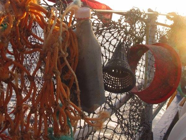 Océanos: ¿una bomba de relojería tóxica?. Se desconoce la cantidad exacta de plásticos presentes en los mares y océanos, pero se calcula en unos 5-50 billones de fragmentos. El 70% de los residuos plásticos queda en el fondo marino, el 15% permanece en la columna de agua y el 15% restante en la superficie.