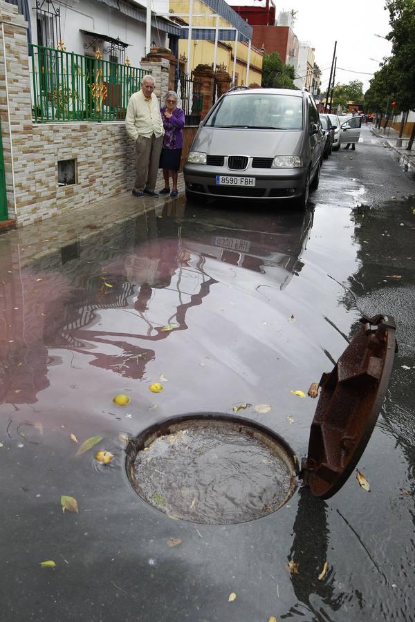 En imágenes: Sevilla, desbordada por las lluvias