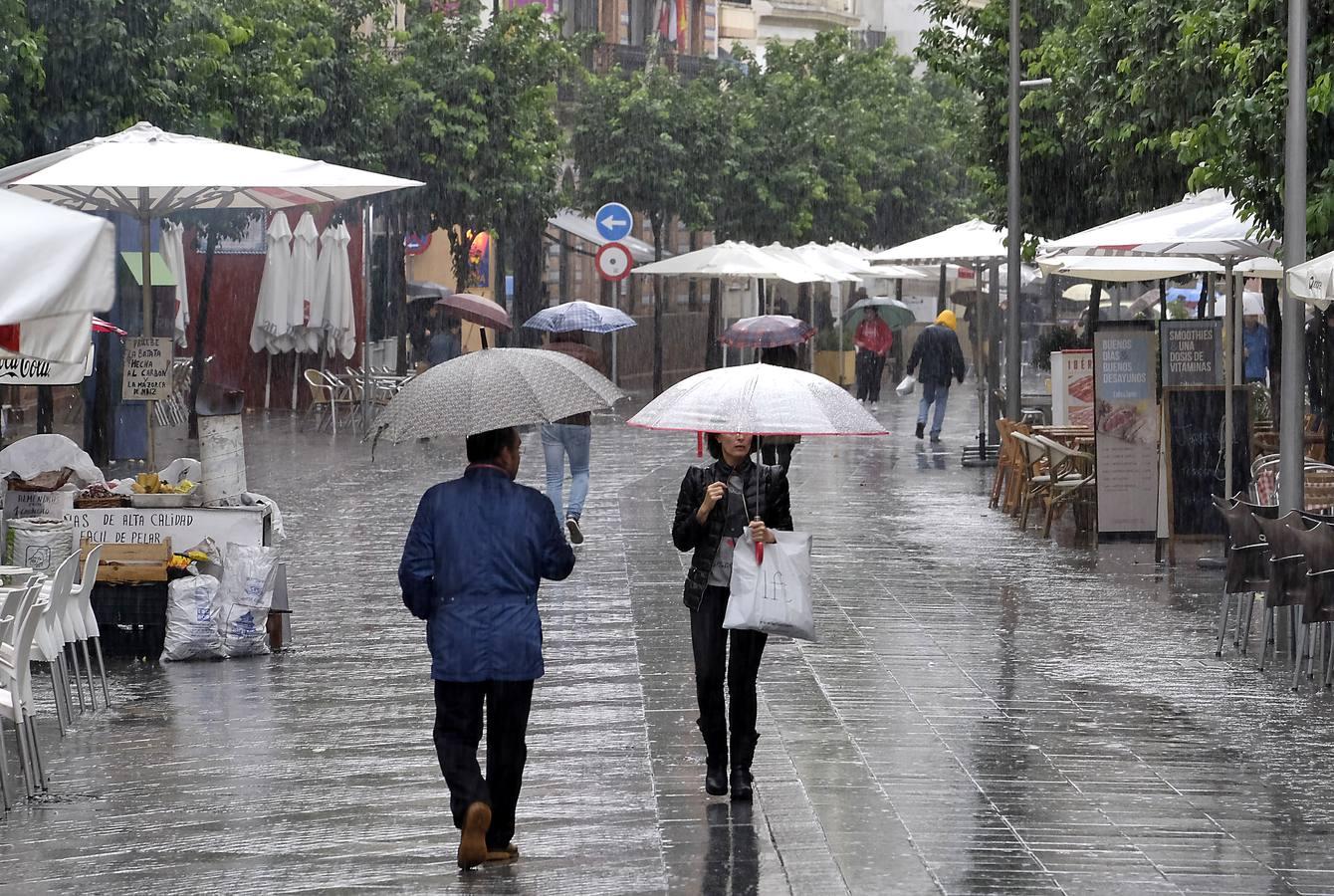 En imágenes: Sevilla, desbordada por las lluvias