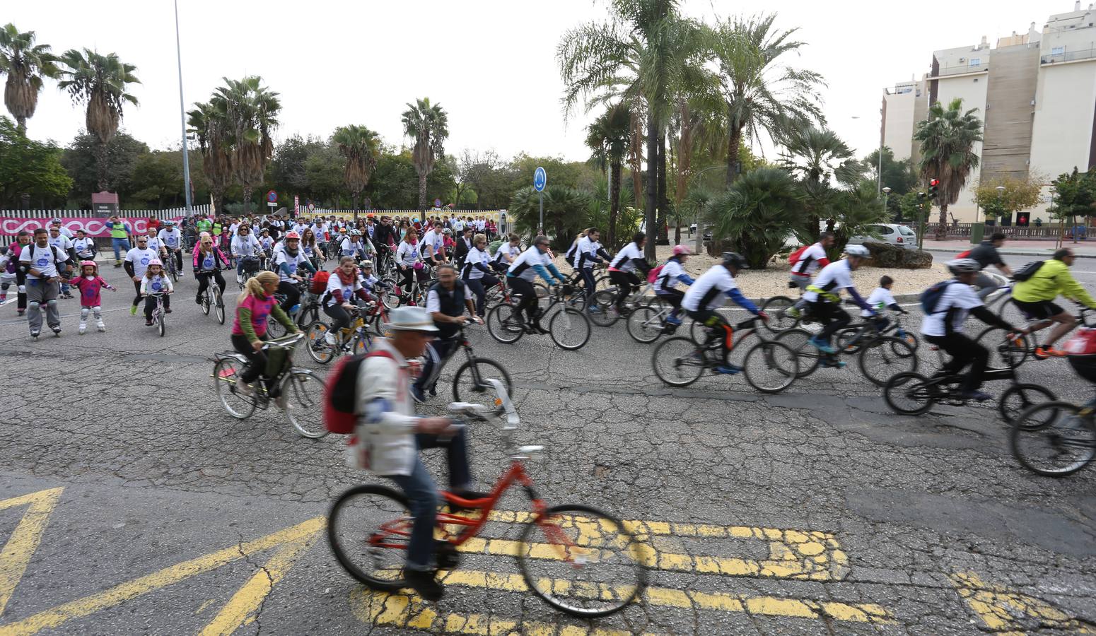 El evento «Sevilla sobre ruedas» ha estado organizado por el Ayuntamiento de Sevilla, en colaboración con la Fundación Cajasol y Bike and You