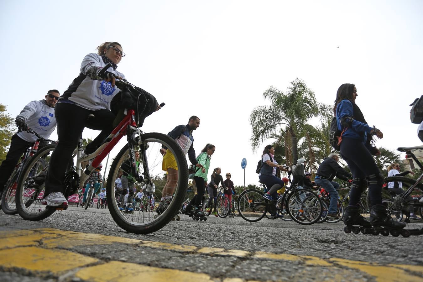 El evento «Sevilla sobre ruedas» ha estado organizado por el Ayuntamiento de Sevilla, en colaboración con la Fundación Cajasol y Bike and You