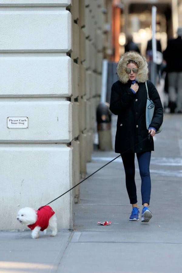 Olivia Palermo ha escogido un conjunto más sport para sacar a su bichón maltés, Mr Butler. Con una parka negra con capucha de pelo, vaqueros y unas sneakers, la modelo pone al mal tiempo buena cara 