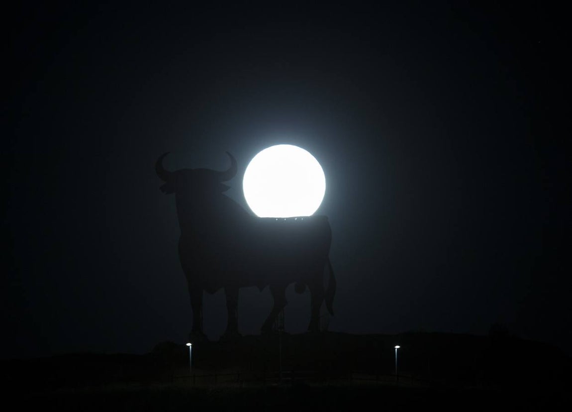 Espectaculares imágenes del toro que se enamoró de la superluna