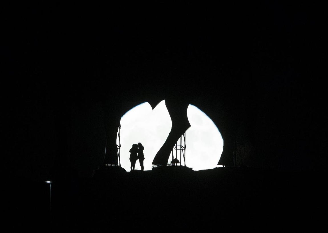 Espectaculares imágenes del toro que se enamoró de la superluna