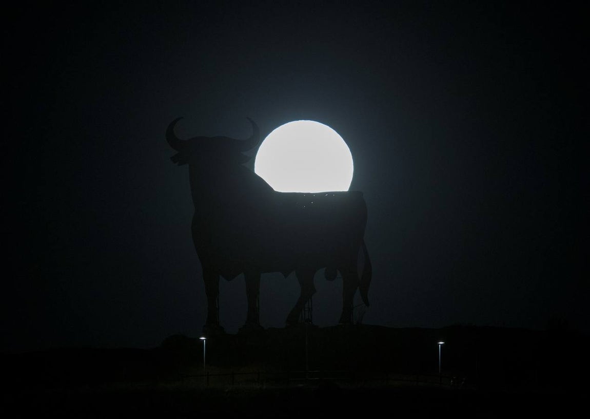 Espectaculares imágenes del toro que se enamoró de la superluna