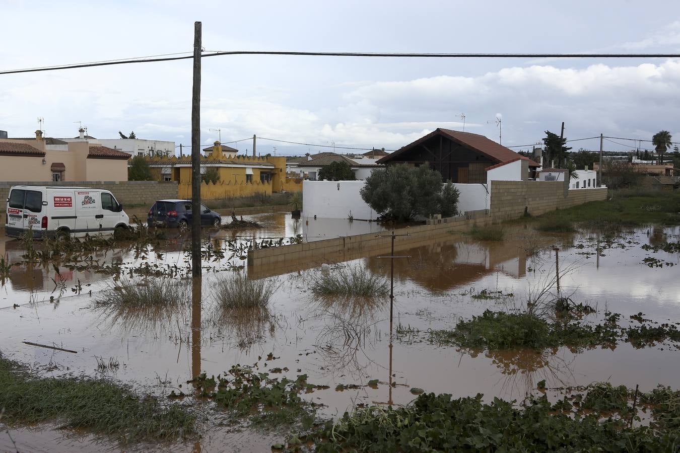 La lluvia inunda las zonas rurales de La Janda