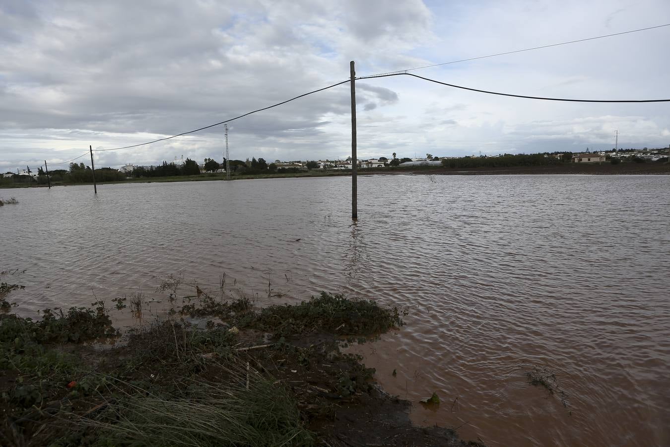 La lluvia inunda las zonas rurales de La Janda