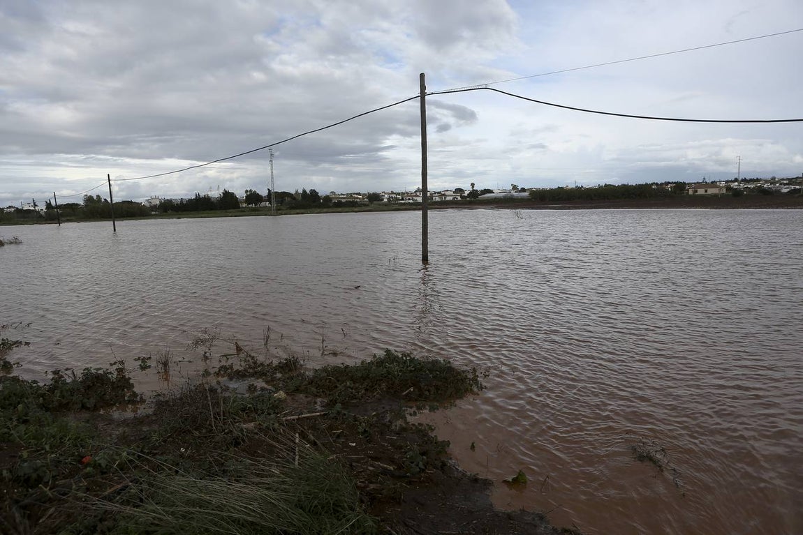 La lluvia inunda las zonas rurales de La Janda