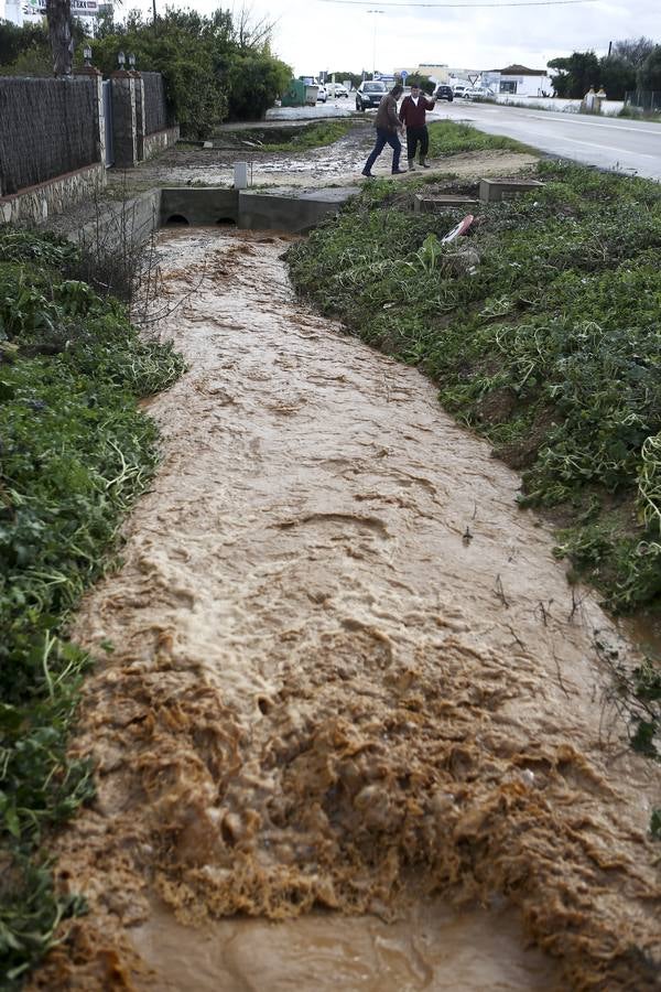 La lluvia inunda las zonas rurales de La Janda