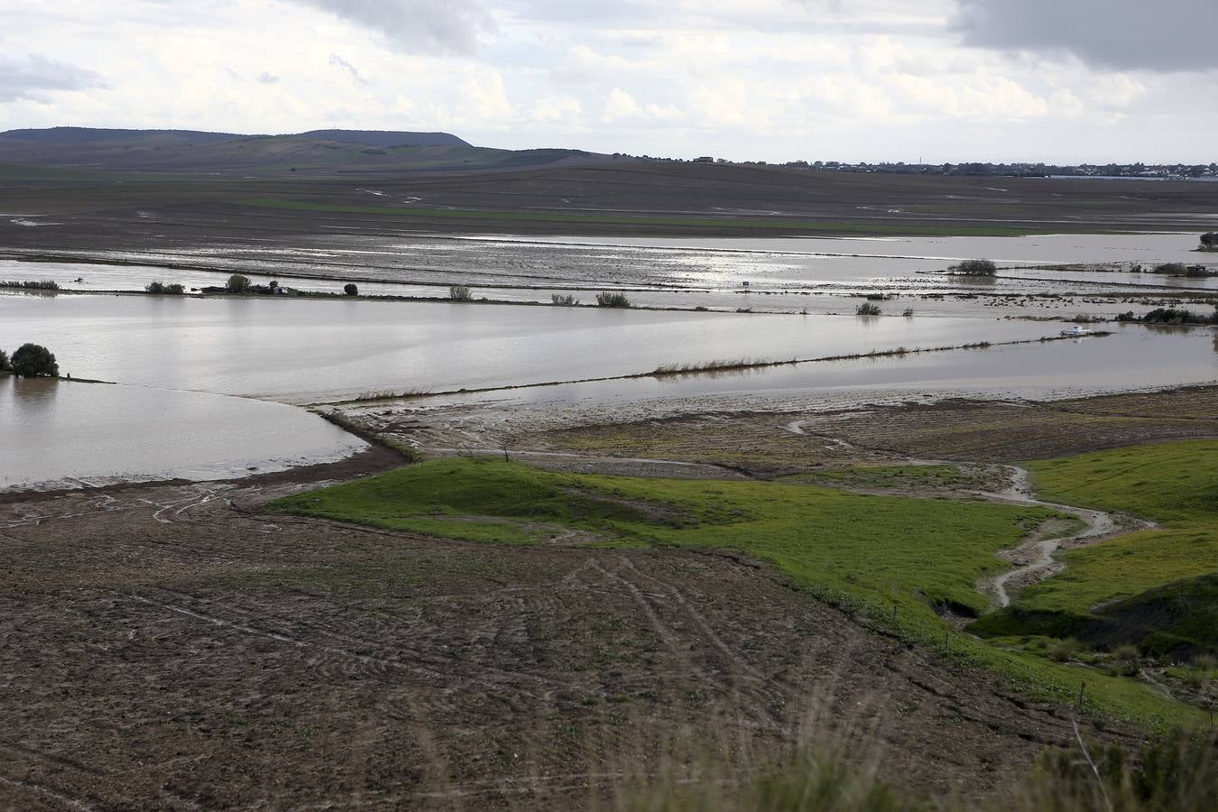 La lluvia inunda las zonas rurales de La Janda