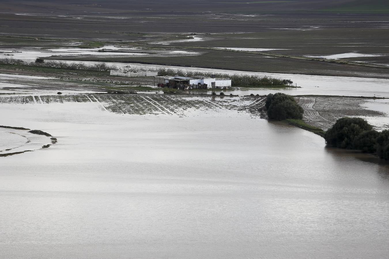 La lluvia inunda las zonas rurales de La Janda