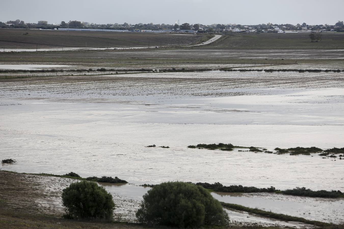 La lluvia inunda las zonas rurales de La Janda