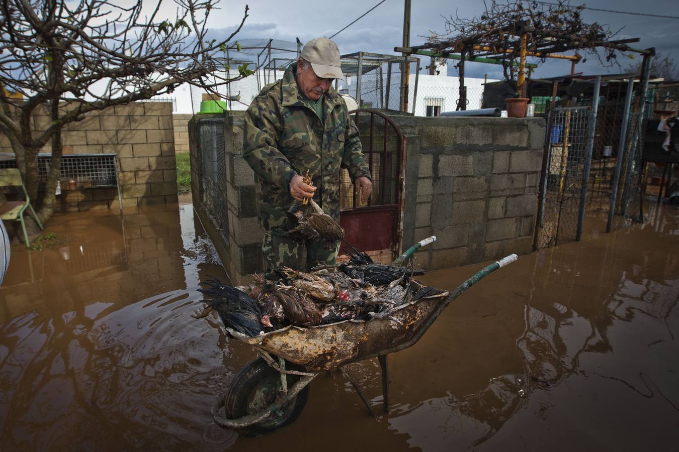 La lluvia inunda las zonas rurales de La Janda