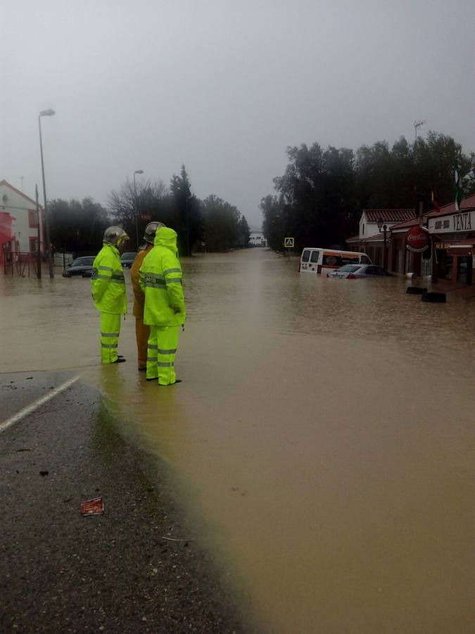 La lluvia inunda las zonas rurales de La Janda